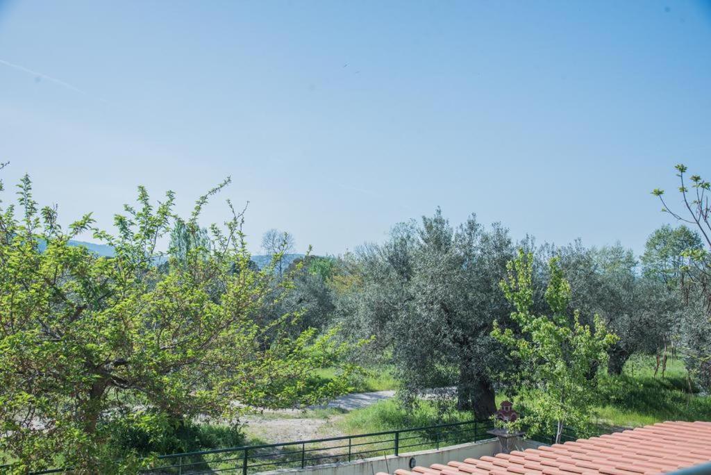 Diogenis Villa Vourvourou Exteriér fotografie