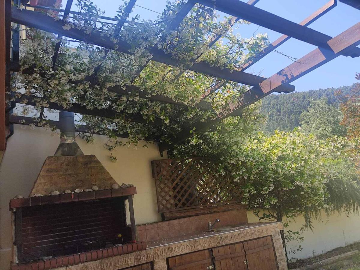 Diogenis Villa Vourvourou Exteriér fotografie